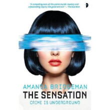 The Sensation: The Salvation Series, Book II