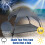Costway Large Raised Dog Bed Puppy Pet Cot Elevated Tent Removeable Canopy 4