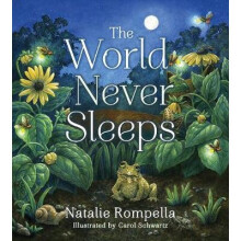 The World Never Sleeps