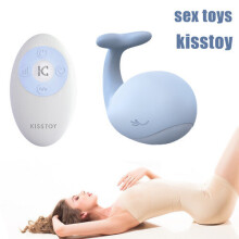 Remote Control Vibrator Female Sex Toys G-Spot Dildo Clit Vibrating Panties USB