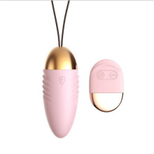 (Pink) Remote Control Wearable Wireless Vibrator Vibrating Panties Clitoris Egg Sex Toy