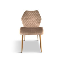 velvet dining chairs champagne set of 2