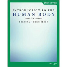 Introduction to the Human Body