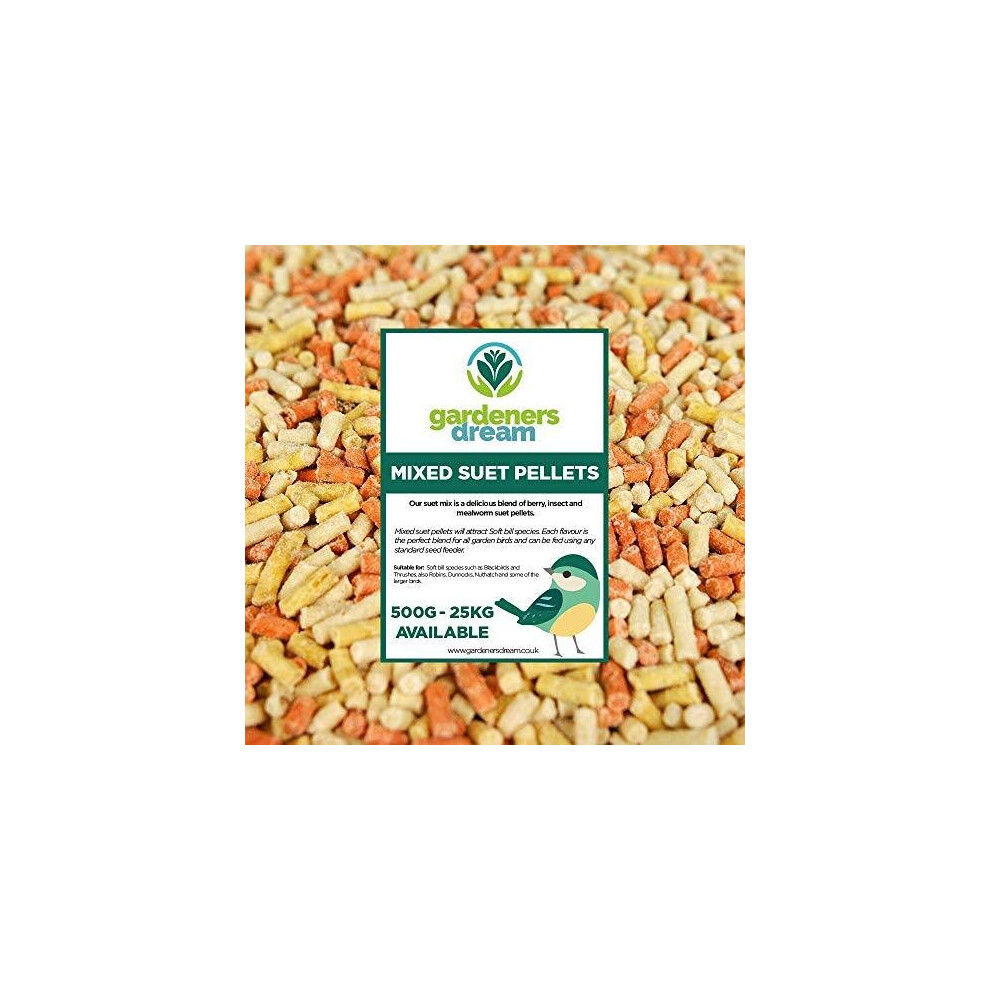 GardenersDream Mixed Suet Pellets | Garden Wild Bird Food Mix | Nutritious and Healthy Feed Mixture | Insect, Berry & Mealworm Pellet| Contains Esse