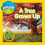 A Tree Grows Up 1