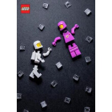 LEGOÂ Minifigure Journal