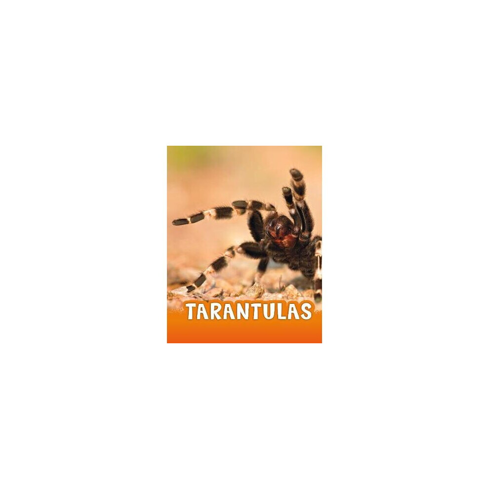 Tarantulas
