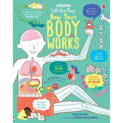 Lift-the-Flap How Your Body Works
