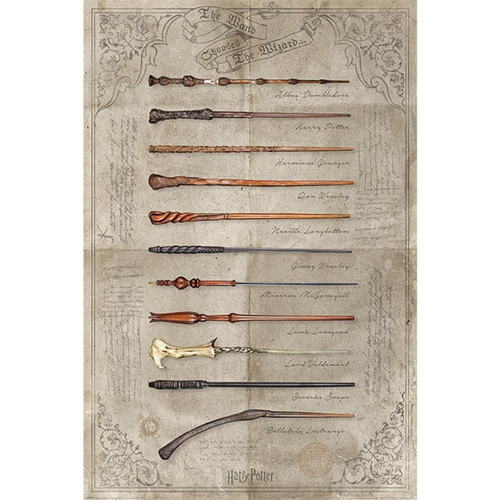 Harry Potter Poster Wands 161