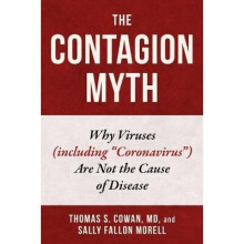 The Contagion Myth