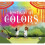 Festival of Colors 1