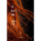 The Devil's Song 1