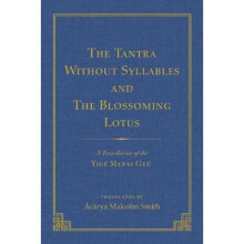 The Tantra Without Syllables (Volume 3) and The Blazing Lamp Tantra (Volume 4)