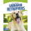Labrador Retrievers 1