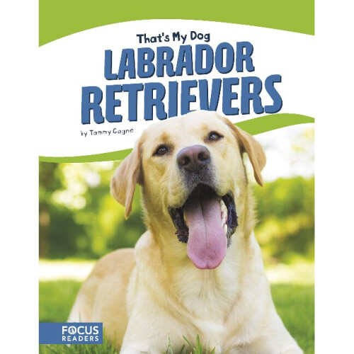 Labrador Retrievers