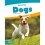 Dogs 1