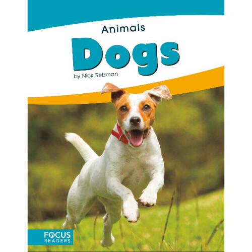 Dogs