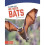 We Need Bats 1