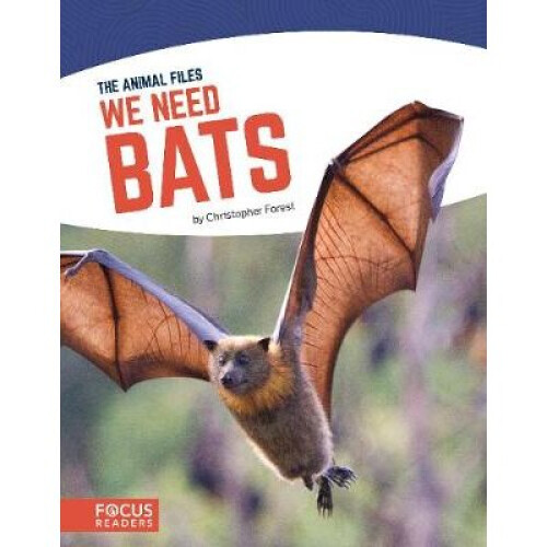 We Need Bats