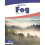Fog 1