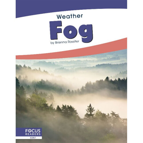 Fog