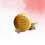 Mysore Sandal Soap 150g (pacote de 3) 6