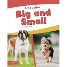 Big and Small