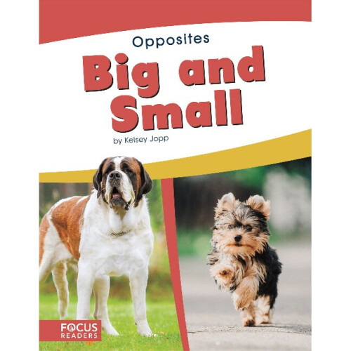 Big and Small