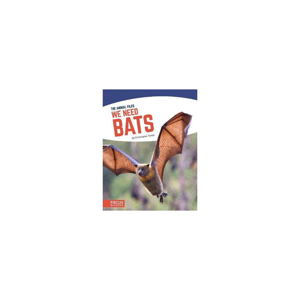 We Need Bats-image-OPC-P6MMSHV-NEW