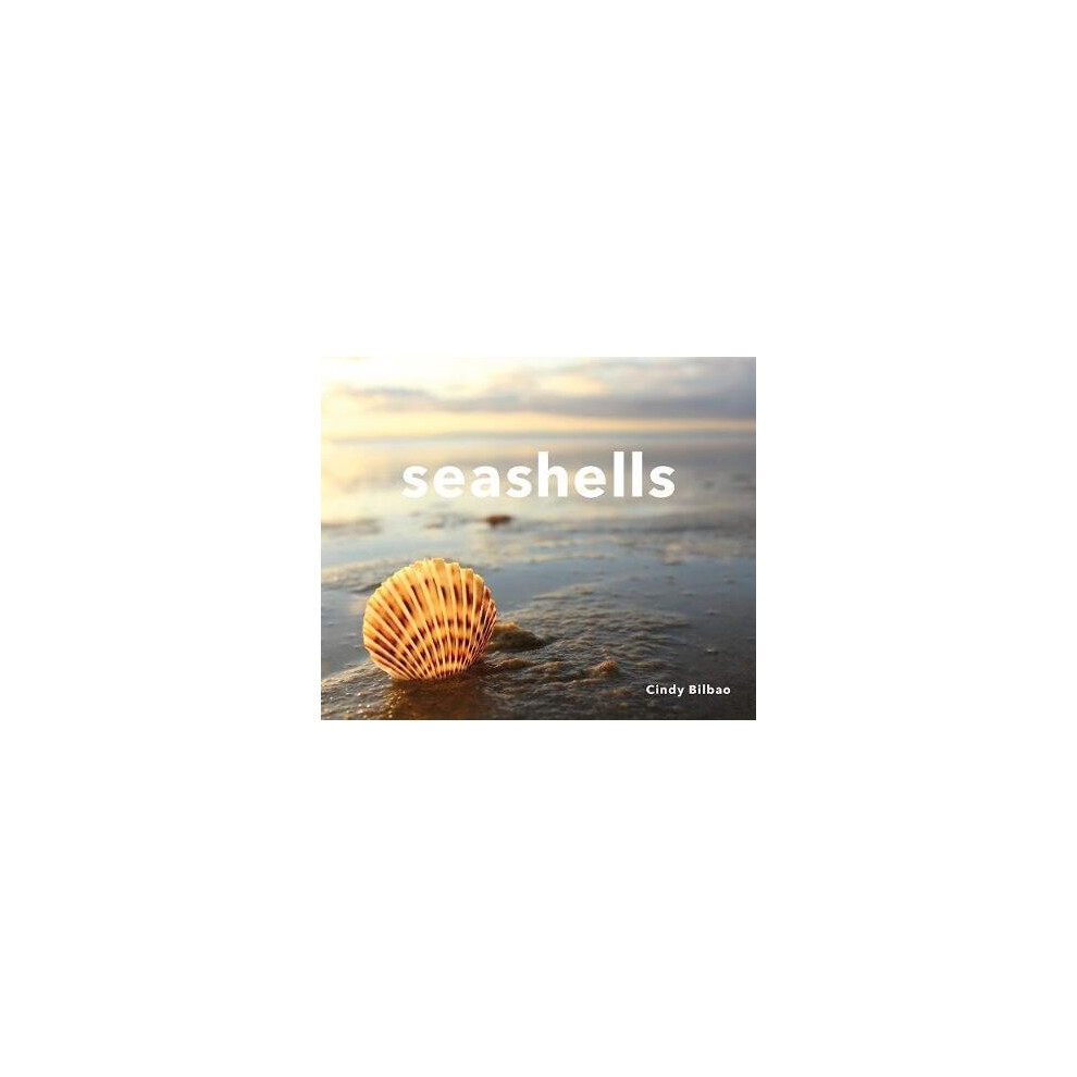 Seashells