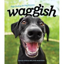 Waggish – Dogs Smiling for Dog Reasons