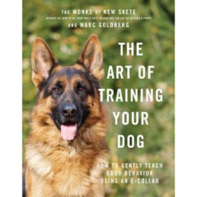 The Art of Training Your Dog – How to Gently Teach Good Behavior Using an E–Collar