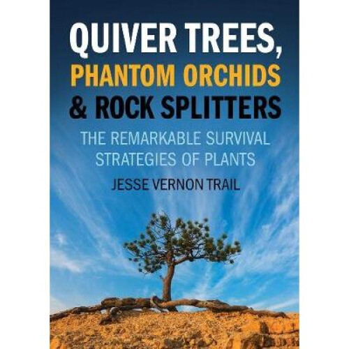 Quiver Trees, Phantom Orchids And Rock Splitters