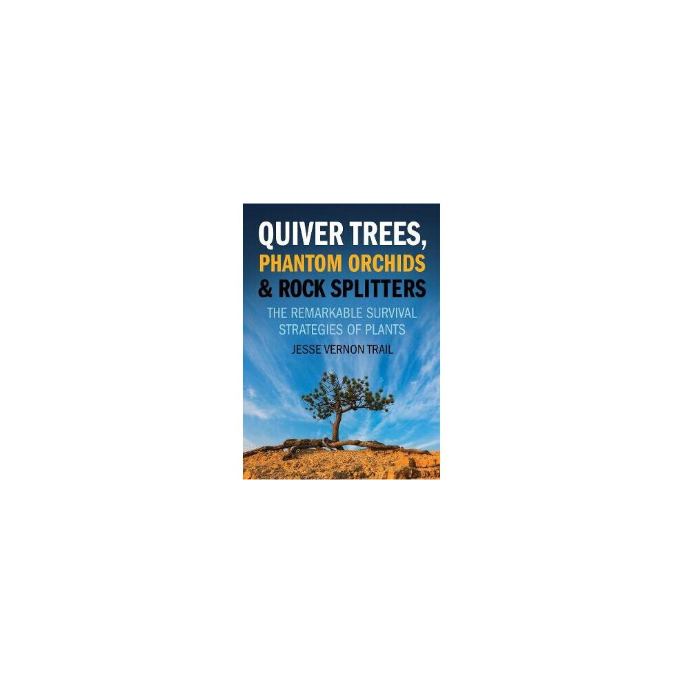 Quiver Trees, Phantom Orchids And Rock Splitters