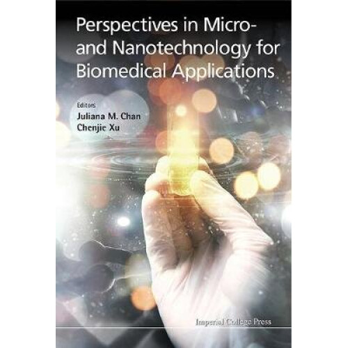 Perspectives In Micro- And Nanotechnology For Biomedical Applications
