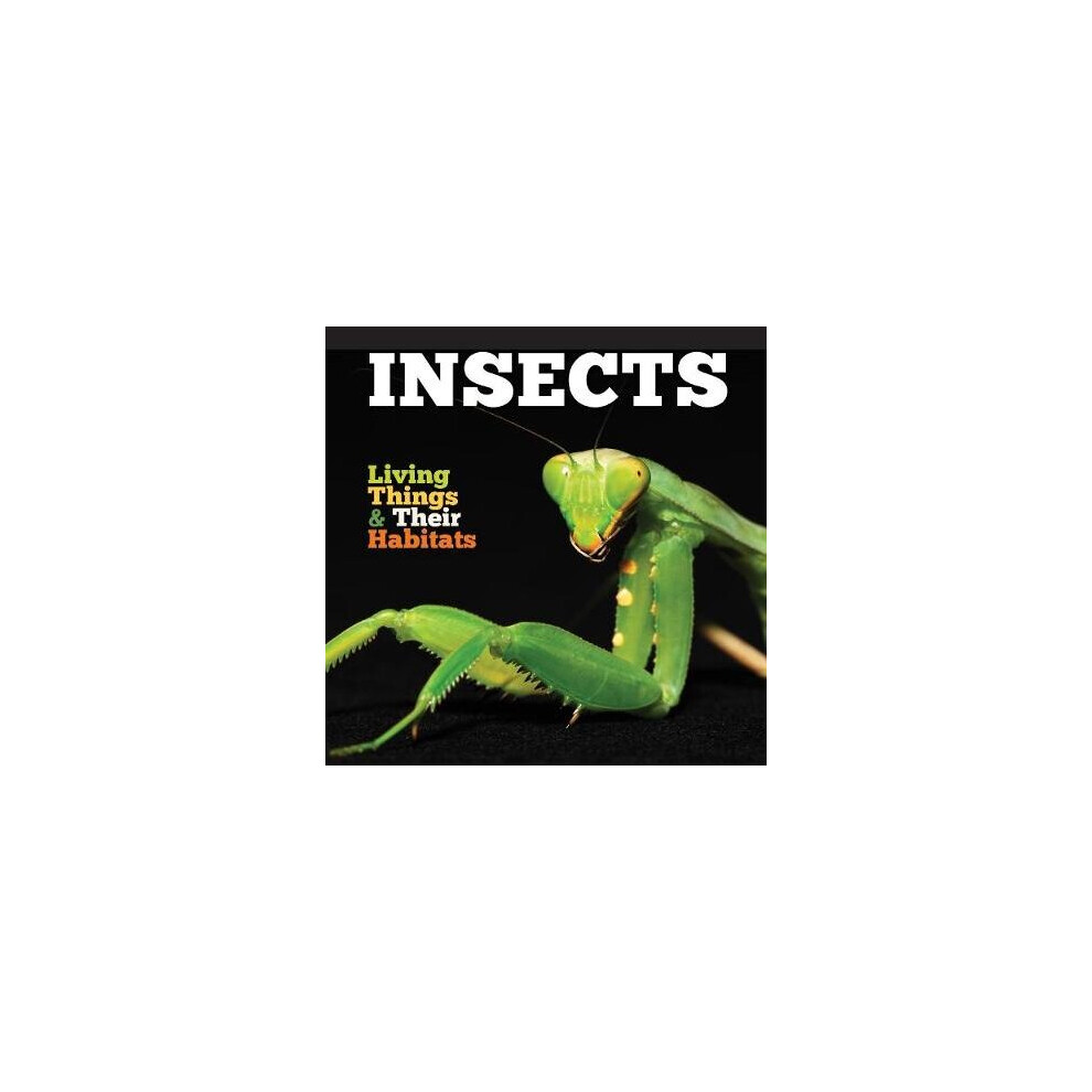 Insects
