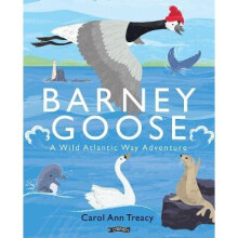 Barney Goose