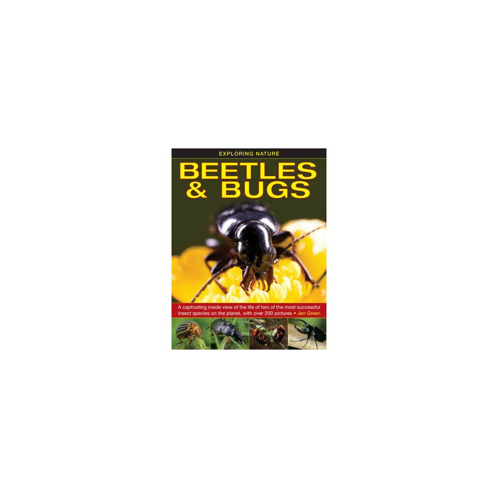 Exploring Nature: Beetles & Bugs