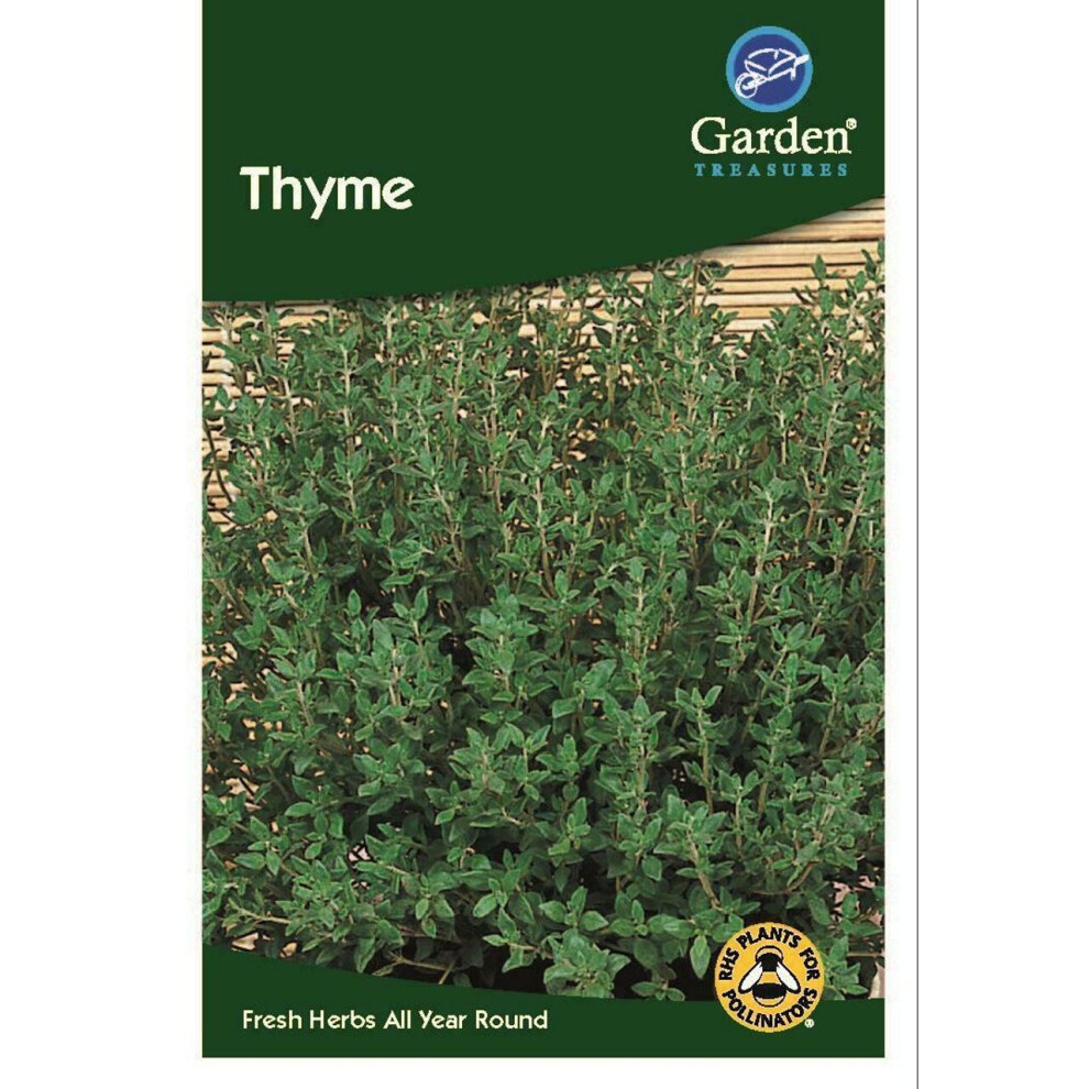 Thyme Seeds Herbs Garden Treasure 265 Seeds