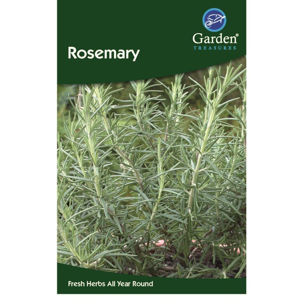 Rosemary Seeds Herbs Garden Treasure 45 Seeds