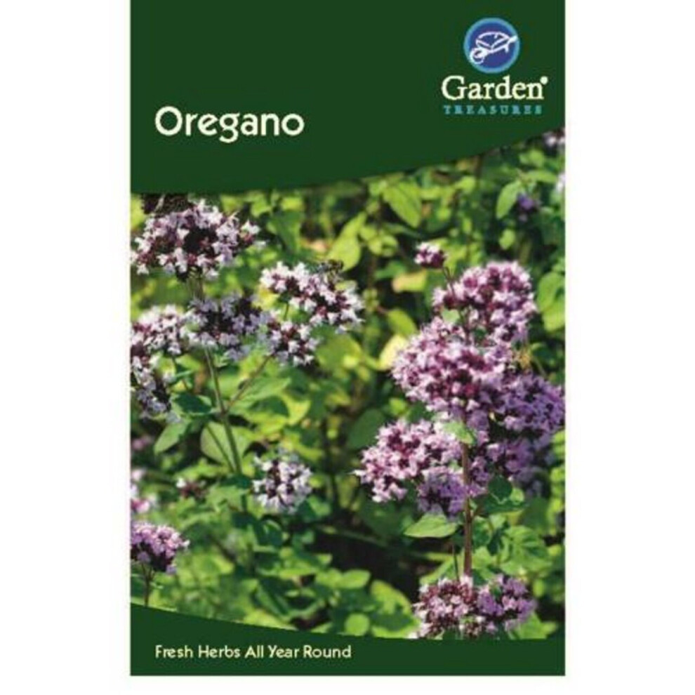 Oregano Seeds Herbs Garden Treasure 540 Seeds