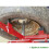 Sealey Motorcycle & Mini Tyre Changer 3