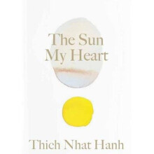The Sun My Heart