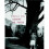Memory Of Trees - Book 1