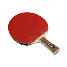 ATEMI PRO-line 3000 CV bordtennisketcher