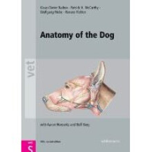 Anatomy of the Dog
