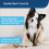 PetSafe PetSafe Automatic Training Ultrasonic Indoor Anti-Bark Control 4