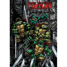 Teenage Mutant Ninja Turtles: The Ultimate Collection, Vol. 5 | Paperback