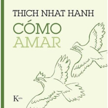 Como Amar