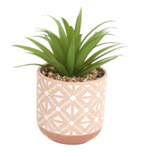 Large Kasbah Succulent in Beautiful Patterned Ceramic Pot